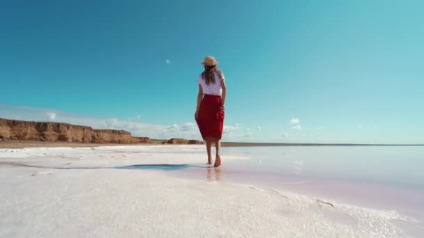 Cámara siguiendo Mujer alegre en falda roja caminando por la playa blanca sal y disfrutando de verano viajando al lago rosa — Vídeos de Stock