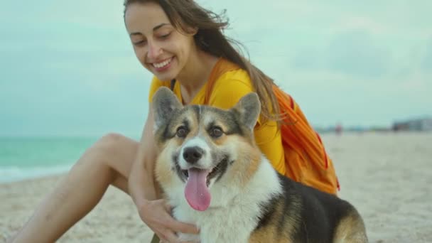 Attractive young woman smiling and spending time together with her pet cute corgi dog outdoors at sandy sea beach at sunset. — Stock Video