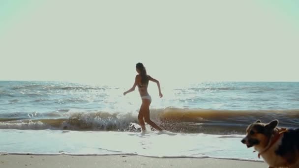 Glad leende kvinna med corgi hund som springer längs stranden av havet med vågor, känsla välbefinnande och frihet. — Stockvideo