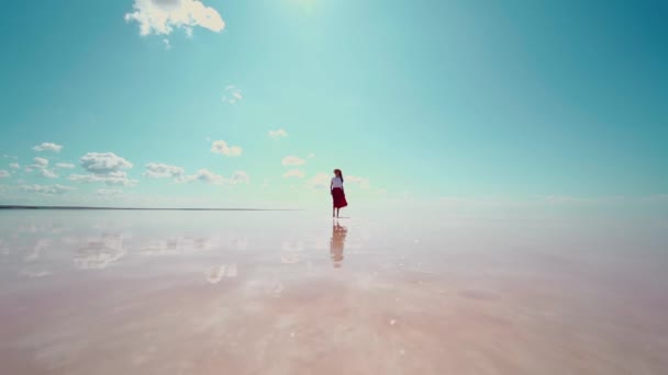 Mujer en sombrero de paja disfrutando de la hermosa naturaleza en el lago de sal rosa — Vídeo de stock