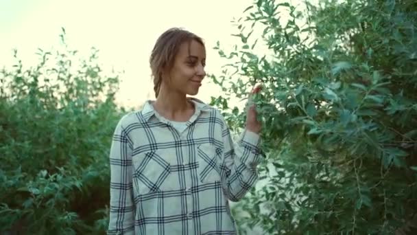Retrato en cámara lenta de despreocupado hermosa mujer de raza mixta hipster disfrutando de caminar al aire libre en arbustos verdes — Vídeos de Stock