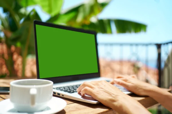 Женщина с задним видом работает на ноутбуке с белым пустым экраном. Поиск, просмотр, поиск — стоковое фото