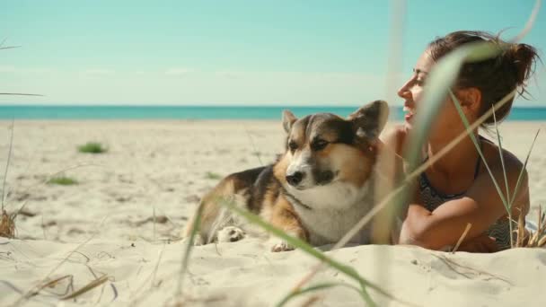 Mujer bronceada cariñosa y tierna feliz en bikini que miente en la arena en la playa soleada del mar con su mascota, perro corgi galés lindo. chica acariciando y besando su perro — Vídeo de stock