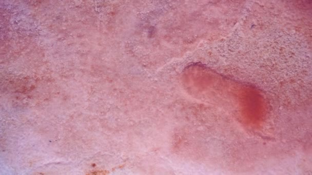 Top view surface of pink mineral lake with salt crystalized bottom and shallow water. humans leg footprint on salt — Stock Video