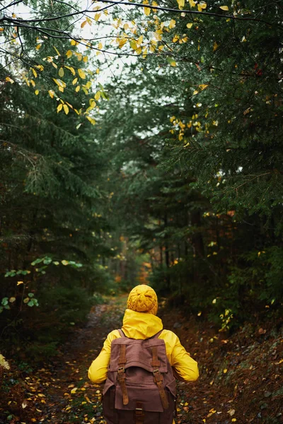 Takanäkymä nainen kävelee reppu, vaellus usvainen syksyllä metsässä — kuvapankkivalokuva
