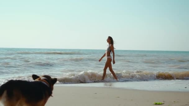 Mulher sorridente feliz com cão corgi caminhando ao longo da costa do mar com ondas, sentindo bem-estar e liberdade. — Vídeo de Stock