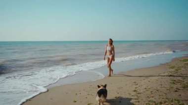 Çekici, mutlu, bikinili bir kadın güneşli bir sabah dalgalarıyla deniz kıyısında Corgi köpeğiyle yürüyor..