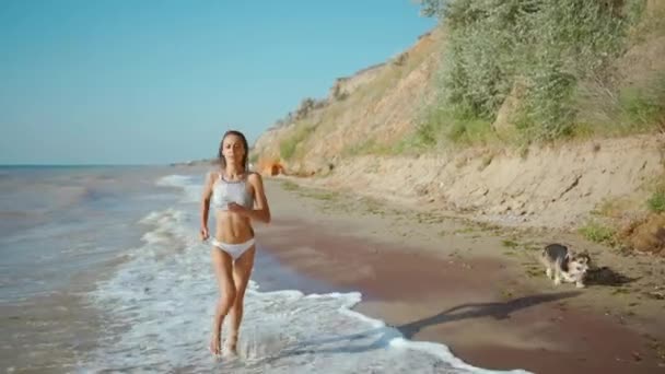 Jeune femme magnifique avec beau corps mince est engagé dans la gymnastique en mer au lever du soleil. Elle court le long de la côte avec son chien corgi. — Video