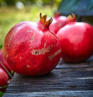 nar yeşil çim zemin üzerine