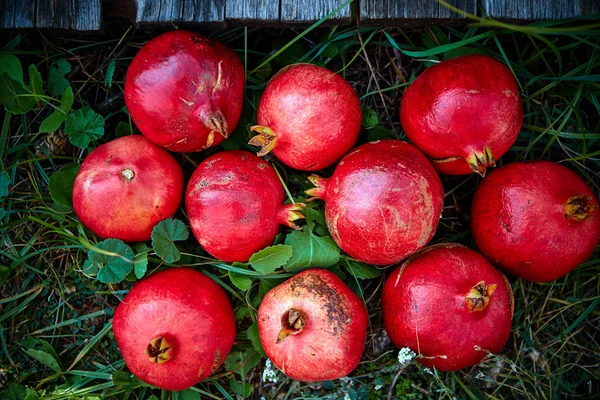 Granaatappels op een groen gras achtergrond — Stockfoto