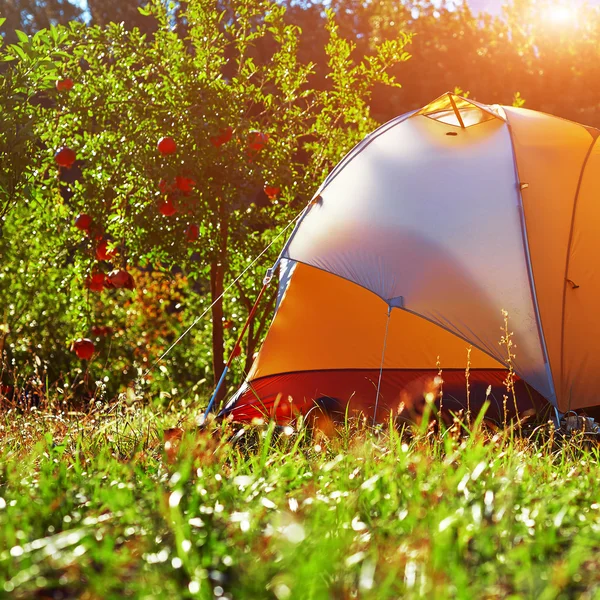 Orange tent in the garden — Stock Photo, Image