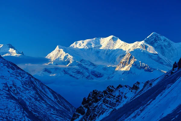 Sneeuw bedekte bergen. — Stockfoto