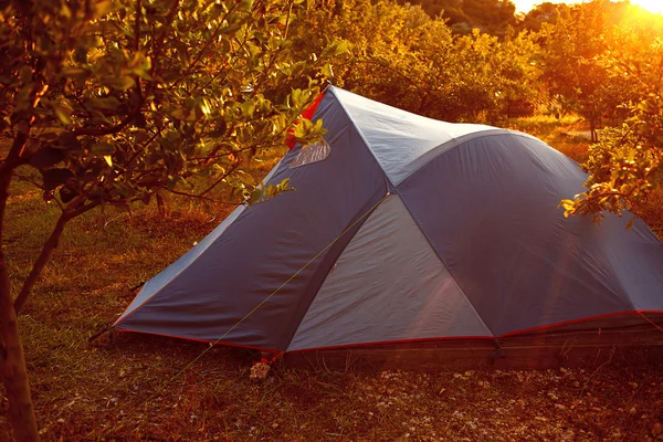 Tents in the garden — Stock Photo, Image