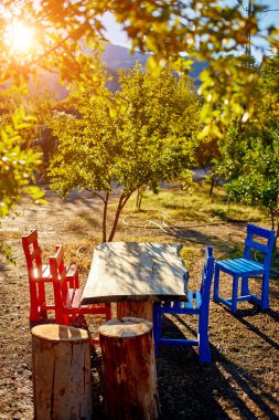 Ahşap masa ve Bahçe sandalye