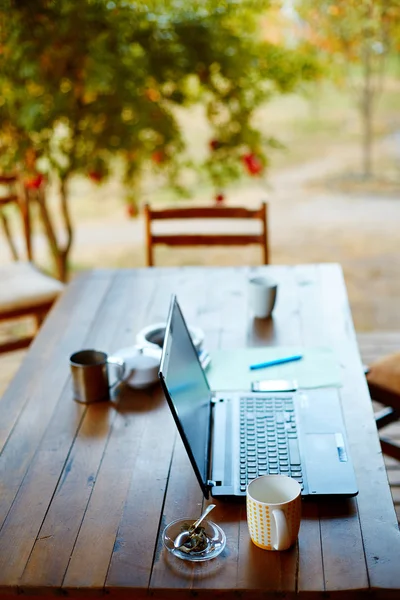 Ordinateur portable et café dans le jardin — Photo