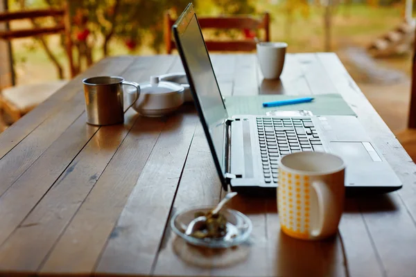 Bärbar dator och kaffe i trädgården — Stockfoto