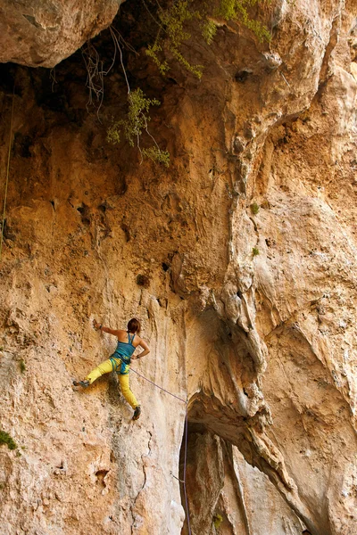 Scalatore di roccia che si arrampica su una falesia — Foto Stock