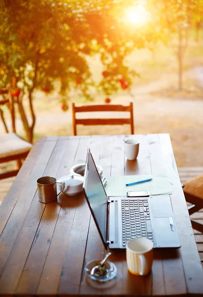 Laptop und Kaffee im Garten Stockbild