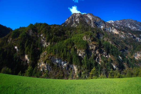 Paisagem com cerca de campo cercada nas montanhas — Fotografia de Stock