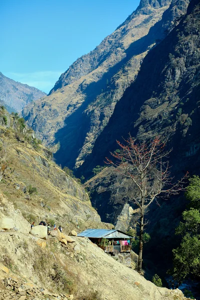 Village in  Nepal — Stock Photo, Image