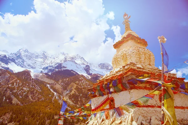 Stupa in Nepal — Stock Photo, Image
