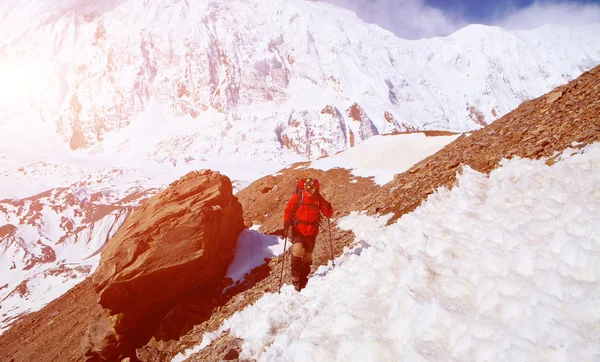 Hiker in the mountains — Stock Photo, Image