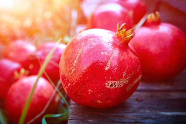 Pomegranates on a green grass background — Stock Photo, Image