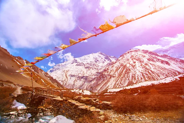 Flags with prayer in Nepal — Stock Photo, Image