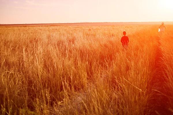 Family in the field — Stock Photo, Image