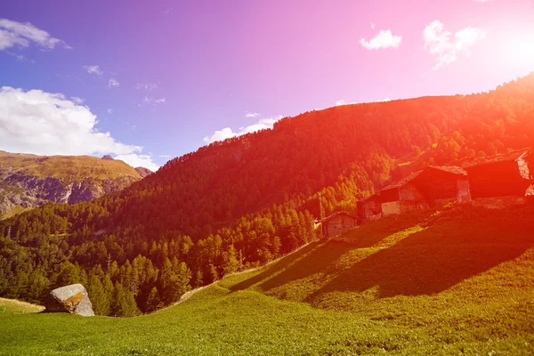 Pradera alpina con casas —  Fotos de Stock