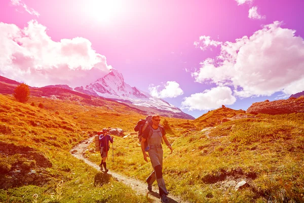 Hikers in the mountains — Stock Photo, Image