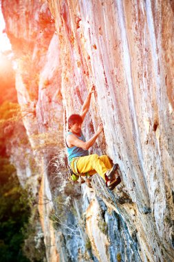 Erkek kaya tırmanışçısı kayalık bir duvara tırmanır.