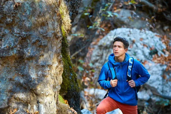 Uomo escursioni nella bellissima foresta — Foto Stock