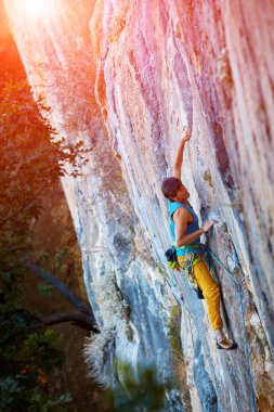 Erkek kaya tırmanışçısı kayalık bir duvara tırmanır.