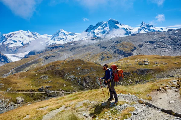 Hiker in the mountains — Stock Photo, Image