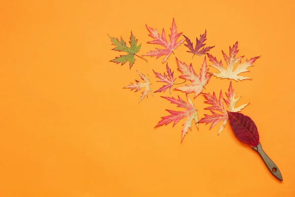 Jesienny Szablon Wielu Kolorowych Liści Klonu Pomarańczowym Tle — Zdjęcie stockowe