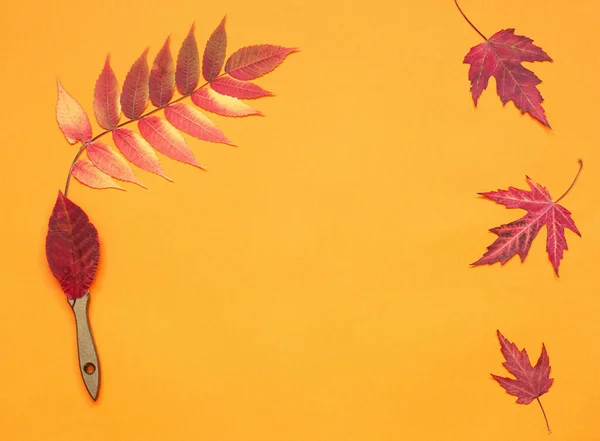 Πρότυπο Φθινόπωρο Πολύχρωμα Φύλλα Πορτοκαλί Φόντο Έννοια Φθινόπωρο Χρώματα Κόσμο — Φωτογραφία Αρχείου