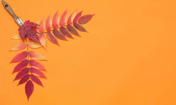 Φθινόπωρο Πρότυπο Πολύχρωμα Φύλλα Σφενδάμου Πορτοκαλί Φόντο Έννοια Φθινοπωρινά Χρώματα — Φωτογραφία Αρχείου