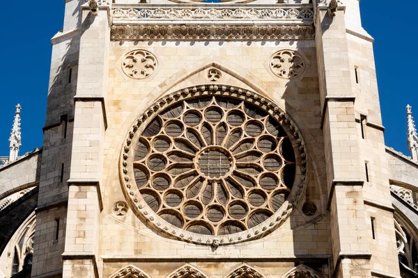 Detalj Katedralen Leon Spanien Stockfoto