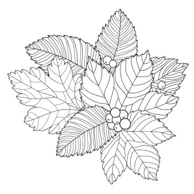 Meşe, kızılağaç, kavak yaprakları ve böğürtlenlerden dekoratif bileşim. Beyaz izole edilmiş arka planda botanik karalama çizimi. Boyama kitabı sayfaları için.