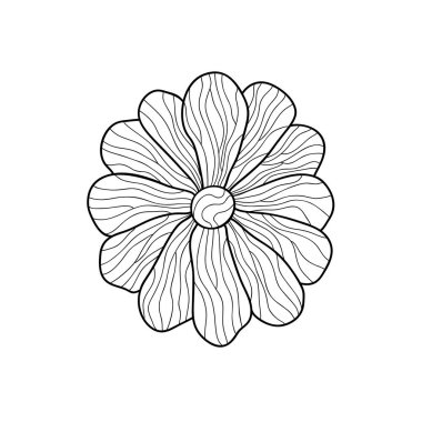 Papatya çiçeği ve beyaz izole arka planda basit desenler. Boyama kitabı, etiket, kartpostala uygun.