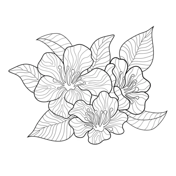 Jablečné Květy Jednoduchými Vzory Listy Bílém Izolovaném Pozadí Doodle Pro — Stockový vektor