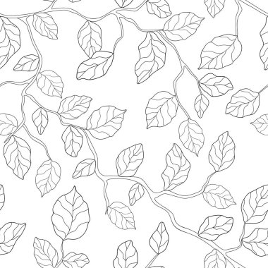 Beyaz arka planda yaprakları olan el çizimi dallar. Kusursuz çiçeksiz yaz şablonu. Boyama kitabı, tekstil, duvar kağıdı için uygun.