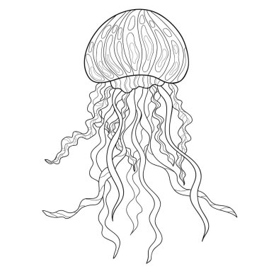 Beyaz izole bir arka planda basit desenli karabatak denizanası. Boyama kitabı sayfaları için. Deniz sevimli illüstrasyon.