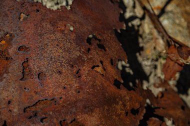 Sert bir duvarda ya da zeminde, boya pul pul dökülür. Aşınma ve paslanma. Eski harap olmuş duvar.