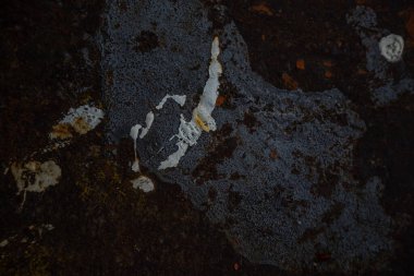 Taş duvar dokusu, döşeme, beton yıkım, metal aşınma ve paslı antika, inşaat takviyesi ve tavanın temeli, boya parçaları.