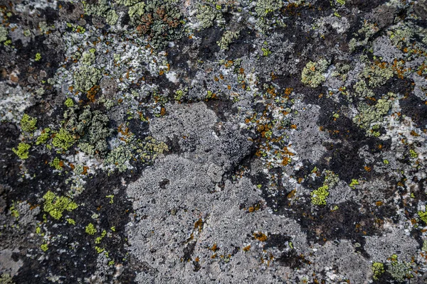 The texture of a stone wall, flooring, concrete destruction, metal corrosion and rusty antiquity, the basis of construction reinforcement and ceilings, paint chips