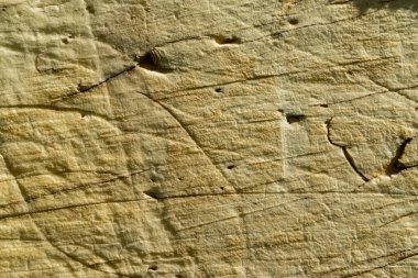 Ev için izolasyon, köpük dokusu, çatlaklar için kullanılan eski yüzey ısı köpüğü. 