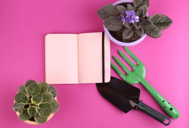 Bahçecilik aletleri ve çiçek pembe bir arka plan üzerinde