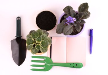 Bahçecilik aletleri ve beyaz arka plan üzerinde çiçek
